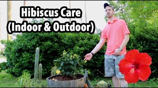 How to Care for a Hibiscus Indoor amp Outdoor [upl. by Imre]