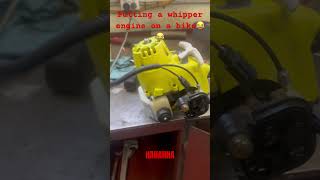 Putting a whipper snipper engine on a bike [upl. by Ayhtin747]