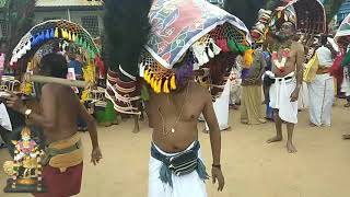 90 Palani Kavadi 2019 பழனி காவடி 2019 [upl. by Martinic]