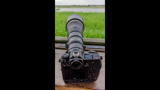 Wildlife Photography with the Nikon 800mm 63 PF [upl. by Ajtak444]