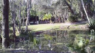 Lakeview Park Disc Golf  Sarasota FL [upl. by Merrilee539]