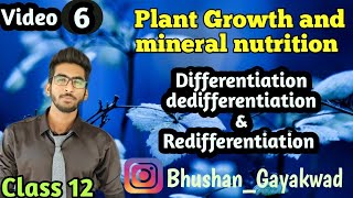 Differentiation Dedifferentiation Redifferentiation  Part 6  Plant Growth and Mineral nutrition [upl. by Letniuq]