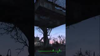 I managed to build a Treehouse in the tree in Sanctuary too bad its filled with sticks fallout4 [upl. by Orsola820]