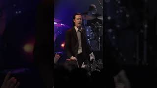 Nick Cave amp The Bad Seeds The Wild God Tour  UK amp Europe 2024 TheWildGodTour [upl. by Siram206]