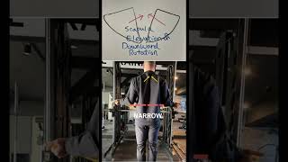 【7 Correct Exercise】 Exercise to Fix Rounded Shoulder PART 4 Rhomboid muscles exercise Shorts [upl. by Taggart397]