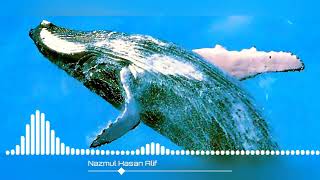 Blue Whale Game Theme Song mp5 [upl. by Nwadahs315]