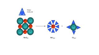 Hydration Energy And Its Trends In The Periodic Table [upl. by Vilhelmina53]