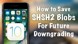 How to Prepare for iOS Downgrades  Save SHSH2 Blobs using TSSChecker [upl. by Ringsmuth]