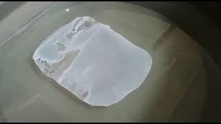 Flat Sheet Membrane Fabrication Polysulfone PS Membrane Casting Using Rod [upl. by Nnylhsa]