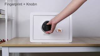 Tigerking Small Biometric Fingerprint Safes White E25FED [upl. by Aicilegna]