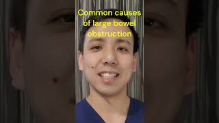 What causes large bowel obstructions doctor medicine surgery bowelobstruction [upl. by Ardnaeel]