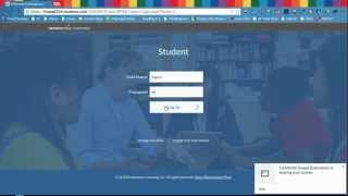 Renaissance Learning Video [upl. by Alyse]