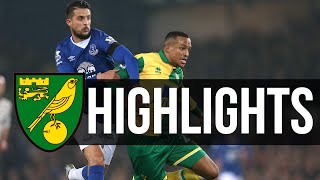 HIGHLIGHTS Everton 11 Norwich City [upl. by Naillimxam193]