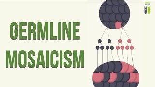 Mosaicisms  Part 1  Germline Mosaicism [upl. by Hamner]