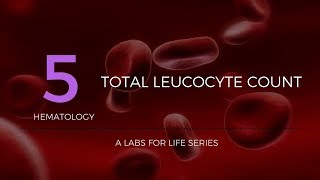 Total Leucocyte Count [upl. by Calhoun50]