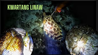 vlog 456 Night dive spearfishing🎯 catch amp cook amp shell [upl. by Maryn]