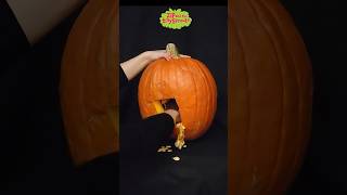 Make Your Own Hum JackOLantern from Zip and the Tiny Sprouts  Pumpkin Carving [upl. by Nylecyoj135]