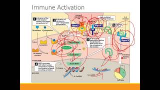 Immunosuppressants [upl. by Nagud]