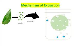 Extraction part 1 [upl. by Lasorella]