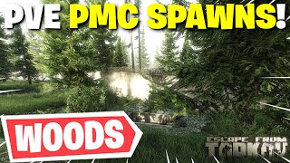 Escape From Tarkov PVE  All PMC Spawn Locations On Woods [upl. by Divadnoj568]