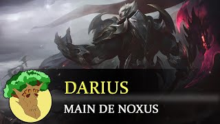 DARIUS  Histoire dun champion de League Of Legends 18 [upl. by Stephie]