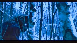 Terrifying Creatures Sighted In Tennessee Deep Woods [upl. by Ahsieyk900]