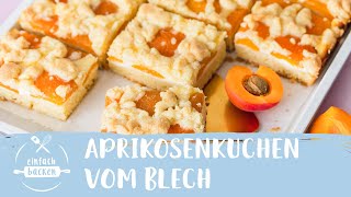 Aprikosenkuchen vom Blech I Einfach Backen [upl. by Rundgren839]