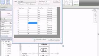 Tools4Revit BID  Rename Grids [upl. by Atnahc]