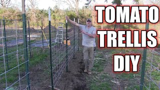 DIY Heavy duty tomato and cucumber trellis [upl. by Yoshi619]