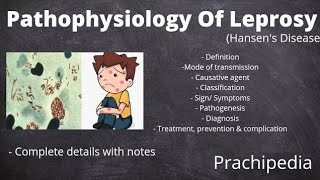 Pathophysiology of Leprosy [upl. by Aissej]