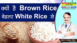 क्यों है Brown Rice बेहतर White Rice से  IS BROWN RICE HEALTHIER THAN WHITE RICE [upl. by Budwig167]