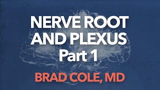 Nerve Root and Plexus Anatomy [upl. by Ahseen]