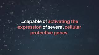 Sulforaphane in Nutrigenomic Cancer Therapy  Oncotarget [upl. by Yates248]