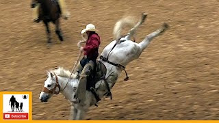 Bronc Riding  2023 Coors Cowboy Club Ranch Rodeo  Saturday Censored [upl. by Humph465]