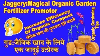 JaggeryMagical Organic Garden Fertilizer Promoter [upl. by Amekahs]