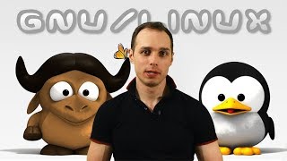 Какой Linux выбрать и установить в этом году Новичкам и Опытным [upl. by Packton749]