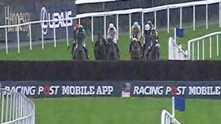 Racing Post Novice Chase 2011 [upl. by Herrmann]