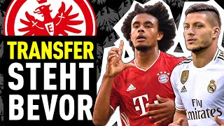 Zirkzee oder Jovic Eintracht Frankfurt sucht Stürmer  Bundesliga Rückblick [upl. by Ailalue]