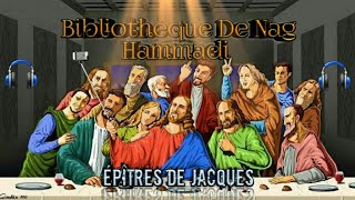 🔊AUDIO🕪 BIBLIOTHÈQUE COPTE DE NAG HAMMADI Evengiles Cachés amp Épîtres De Jacques 🕇📖 [upl. by Nawad]