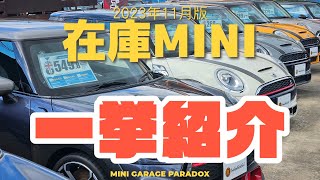 在庫MINIを一挙紹介【2023年11月】 [upl. by Sivad309]