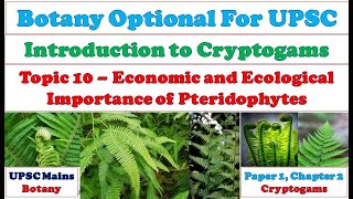 Pteridophytes Economic and Ecological Applications Importance of Pteridophytes Botany Lectures [upl. by Francesca]