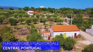 FUNDAO HOMESTEAD FOR SALE 35000  FRUIT TREES ELECTRICITY amp BOREHOLE IN CENTRAL PORTUGAL [upl. by Biel]