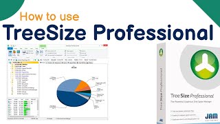 What is TreeSize Professional software  How to use  Tutorial in Hindi  Full explained  TreeSize [upl. by Lynette]