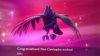 POKEMON SWORD AND SHIELD CORVISQUIRE EVOLUTION INTO CORVIKNIGHT [upl. by Lrae652]