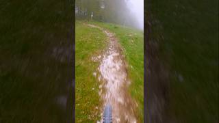 Thriller im Bikepark Petzen [upl. by Yclehc]