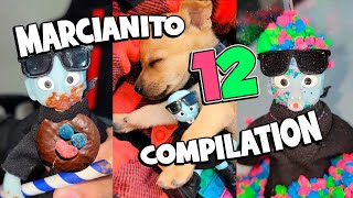 🤪 MARCIANITO TEMPORADA 12 🤣 En Orden COMPILATION shorts funny viral serie animals humor [upl. by Albert]