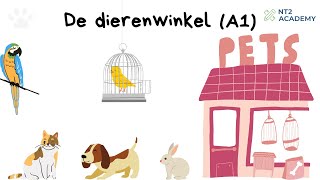 De dierenwinkel A1  Learn Dutch with Stories nt2 leernederlands learndutch [upl. by Rimidalv]