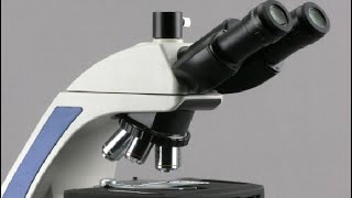 AmScope T720 40X 1000X Plan Infinity Kohler Laboratory Trinocular Compound Microscope Review [upl. by Ahserkal408]