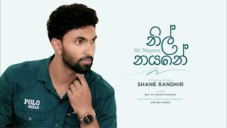 Nil Nayane නිල් නයනේ Official Audio  Shane Randir [upl. by Asenej]