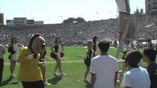 Cal Dance Team Touchdown Celebration [upl. by Ringe]